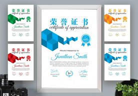 荣誉证书时尚竖版证书