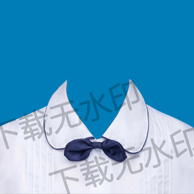领结白衬衫证件照登记照衣服正装