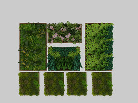 绿植墙 背景墙 绿色植物 墙壁