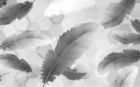 羽毛简约无框画 tif分层 背