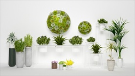 小清新绿色植物组合集