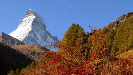 山川美景花草树木