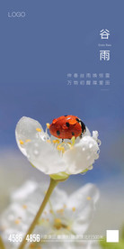 节气海报