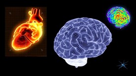 生物科技医学大脑视频