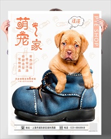 萌宠之家 宠物店促销