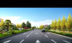 道路绿化