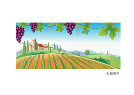矢量农田