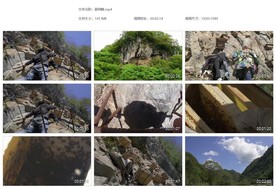 大自然野蜂土蜂蜂蜜蜂王浆蜂浆原