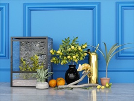 变色龙装饰与绿植