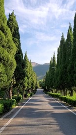 森林 风光路 抖音小视频