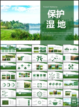 保护湿地原始森林生态氧吧PPT