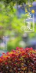 立夏节气海报摄影照片