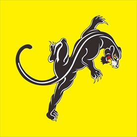 黑豹 豹 黑豹子 豹子