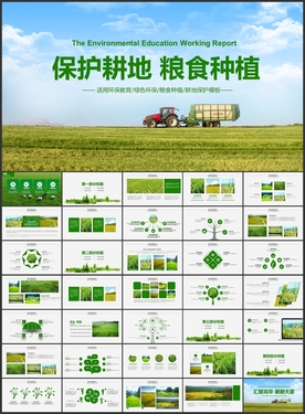 水稻小麦种植保护耕地粮食种植