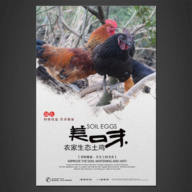 农家生态土鸡