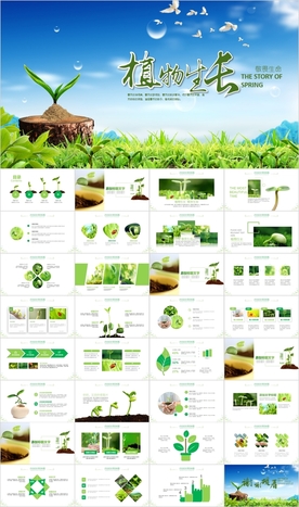 小树苗生长发芽成长春天ppt