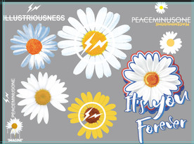 小雏菊 菊花 向日葵 花朵 志