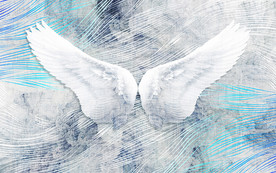 天使翅膀现代简约门垫地垫