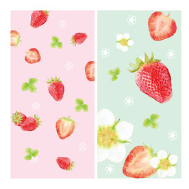 草莓白花图片大全 草莓白花设计素材 草莓白花模板下载 草莓白花图库 昵图网soso Nipic Com