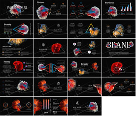 通用大气商业计划书