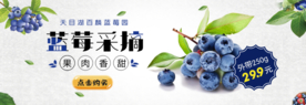 蓝莓banner