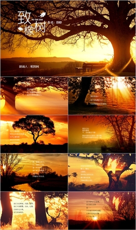 致橡树诗歌朗诵赏析欣赏PPT