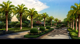 小区入口加拿利海枣效果图