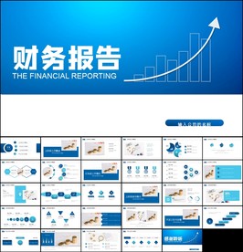 财务部处总监经理财务报告ppt