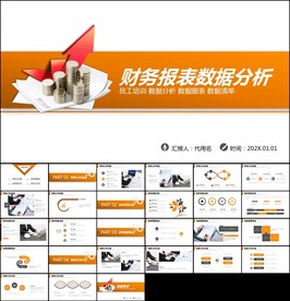 财务部处总监经理财务报告ppt