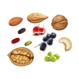坚果与水果