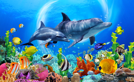 海底鲨鱼