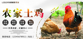 农家土鸡海报