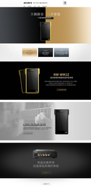 索尼音黑砖金砖淘宝天猫首页设计
