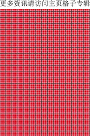 红色格子 经典格纹 面料