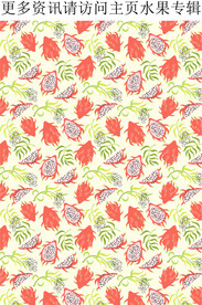 火龙果 热带水果图案