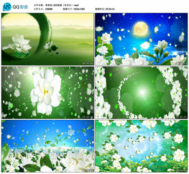 茉莉花 民族舞蹈舞台背景视频