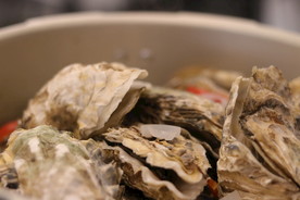 高压锅清蒸乳山生蚝