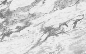 雪花白大理石 大型高清大理石