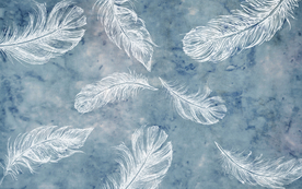 羽毛小清新背景装饰画