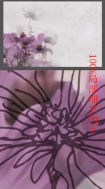 欧式清新时尚手绘线条花朵