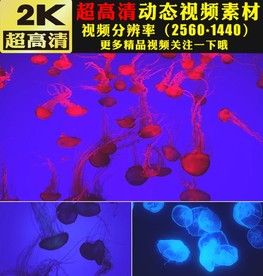 科幻海底世界水母游动视频素材