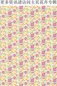 春夏花卉图案 小雏菊 碎花