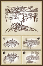 矢量手绘传统葡萄酒酿造