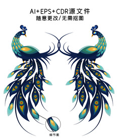 孔雀手绘矢量插画