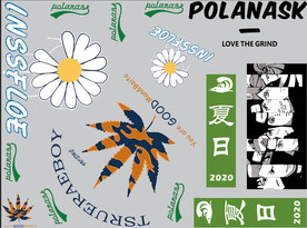 小雏菊 菊花 向日葵 花朵 权