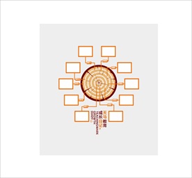 企业年轮历程文化墙