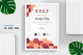 专业证书/文凭模板 荣誉证书