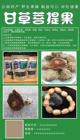 菩提果零食宣传海报