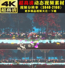 七彩灯光闪烁森林划船LED视频