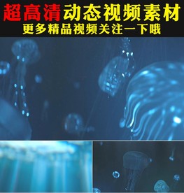 蓝色梦幻海底世界水母游动视频